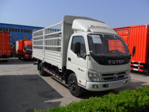 Foton 4X2 Cargo truck