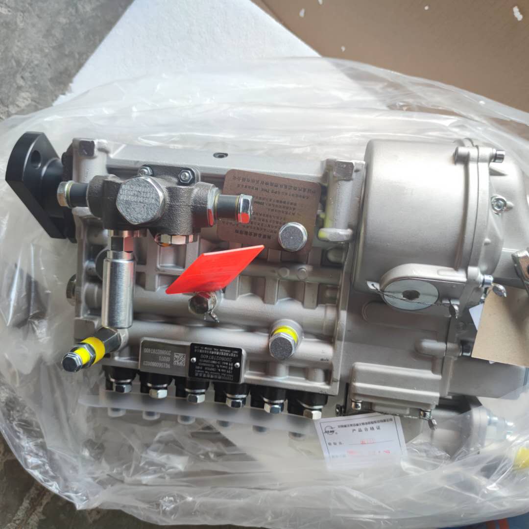 Fuel Injection Pump VG1560080302